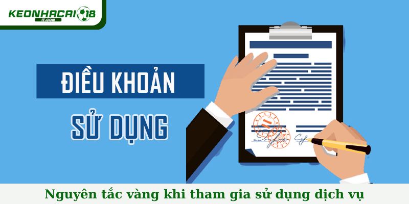 Nguyên tắc vàng trong điều khoản và dịch vụ khi tham gia sử dụng dịch vụ