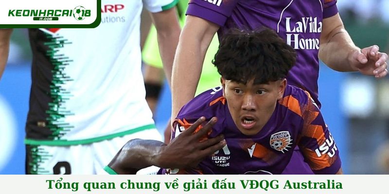 Tổng quan chung về giải đấu VĐQG Australia