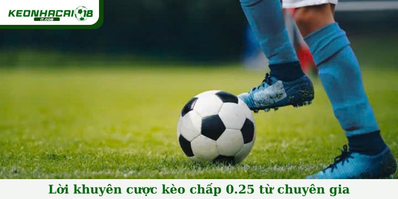 Lời khuyên cược kèo chấp 0.25 từ chuyên gia